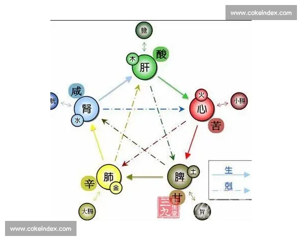 全面提升身体协调能力的科学训练方法与实践指南