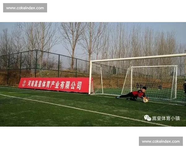 提升竞技能力与赛事表现的体育竞赛水平综合评估与优化策略